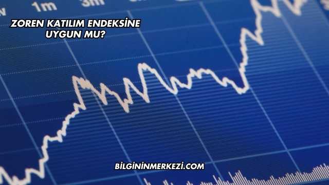 Zoren Katılım Endeksine Uygun mu?