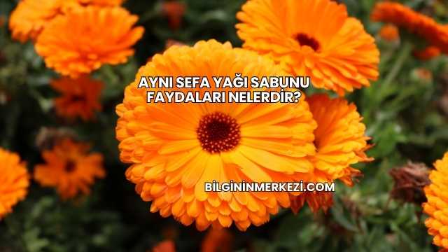 Aynı Sefa Yağı Sabunu Faydaları Nelerdir?