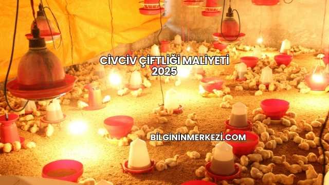 Civciv Çiftliği Maliyeti 2025