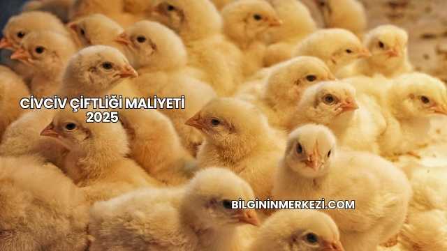 Civciv Çiftliği Maliyeti 2025