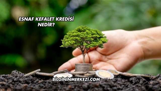 Esnaf Kefalet Kredisi Nedir?