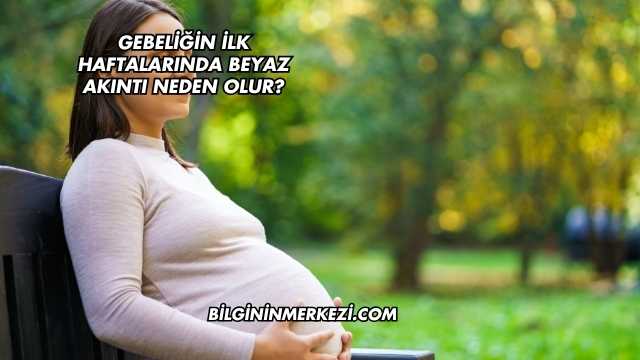 Gebeliğin İlk Haftalarında Beyaz Akıntı Neden Olur?