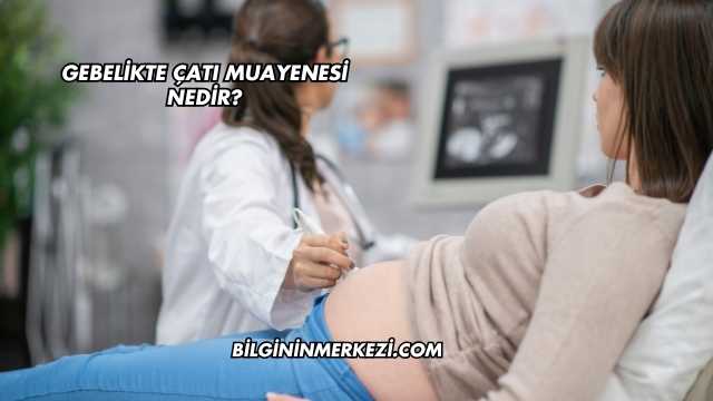 Gebelikte Çatı Muayenesi Nedir?