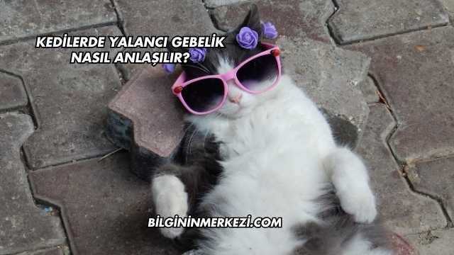 Kedilerde Yalancı Gebelik Nasıl Anlaşılır?