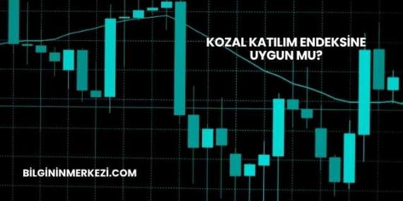 Kozal Katılım Endeksine Uygun mu?