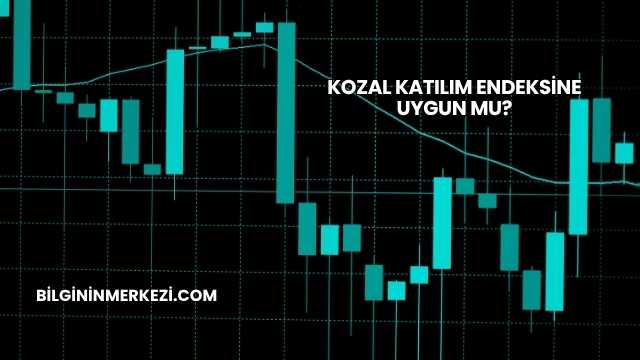 Kozal Katılım Endeksine Uygun mu?
