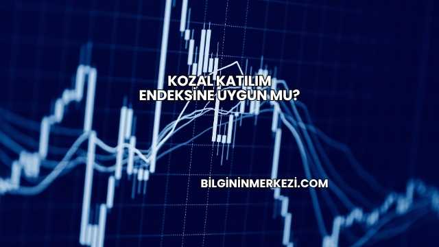 Kozal Katılım Endeksine Uygun mu?