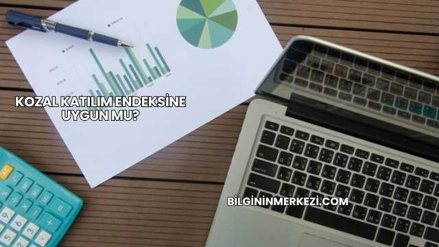 Kozal Katılım Endeksine Uygun mu?