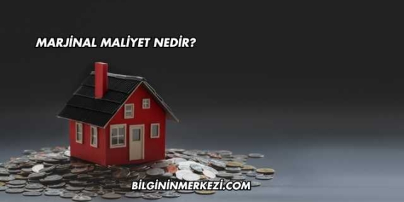 Marjinal Maliyet Nedir?