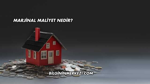 Marjinal Maliyet Nedir?