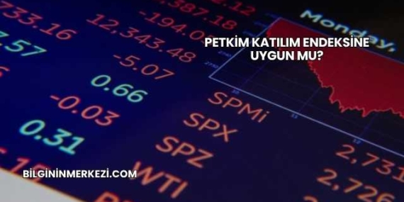 Petkim Katılım Endeksine Uygun mu?