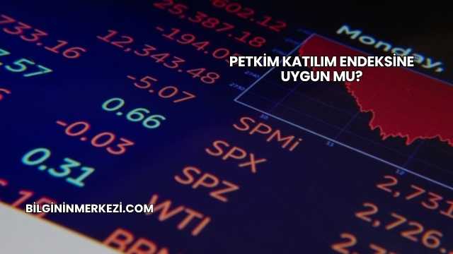 Petkim Katılım Endeksine Uygun mu?