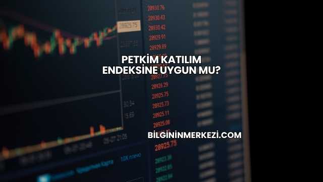 Petkim Katılım Endeksine Uygun mu?
