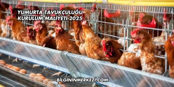 Yumurta Tavukçuluğu Kurulum Maliyeti 2025