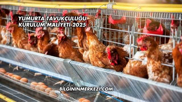 Yumurta Tavukçuluğu Kurulum Maliyeti 2025