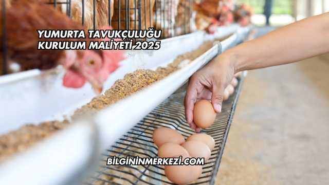 Yumurta Tavukçuluğu Kurulum Maliyeti 2025