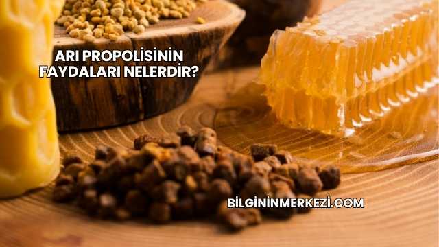 Arı Propolisinin Faydaları Nelerdir?