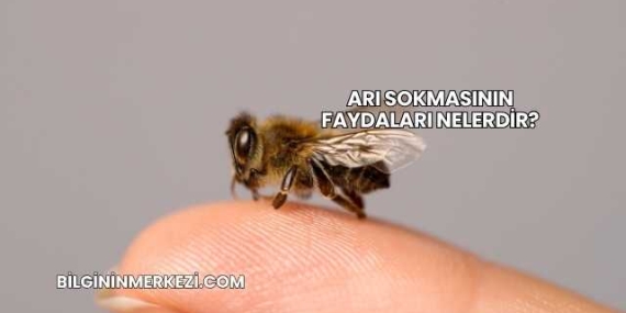 Arı Sokmasının Faydaları Nelerdir?