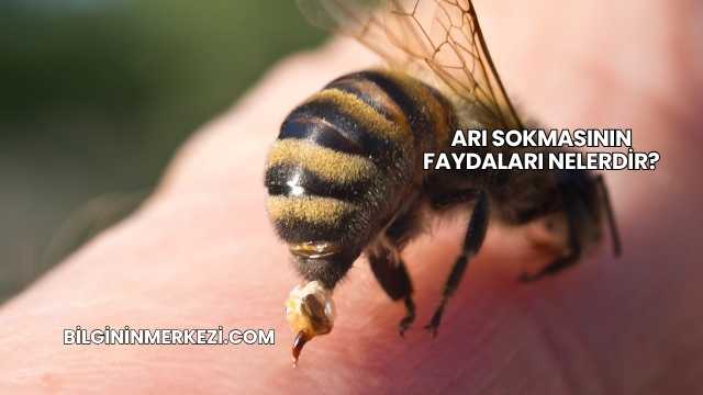 Arı Sokmasının Faydaları Nelerdir?