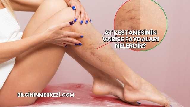 At Kestanesinin Varise Faydaları Nelerdir?