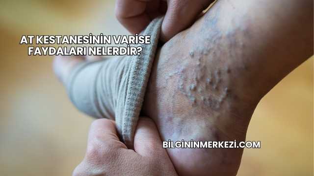 At Kestanesinin Varise Faydaları Nelerdir?