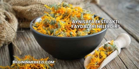 Aynısafa Ekstraktı Faydaları Nelerdir?