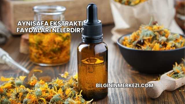 Aynısafa Ekstraktı Faydaları Nelerdir?