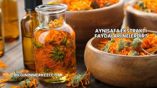 Aynısafa Ekstraktı Faydaları Nelerdir?