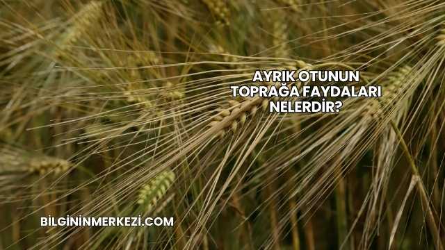 Ayrık Otunun Toprağa Faydaları Nelerdir?