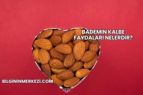 Bademin Kalbe Faydaları Nelerdir?