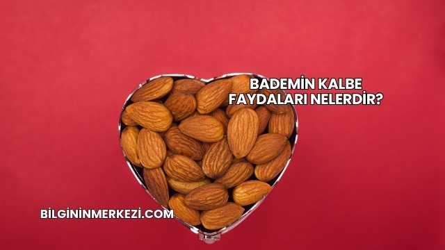 Bademin Kalbe Faydaları Nelerdir?