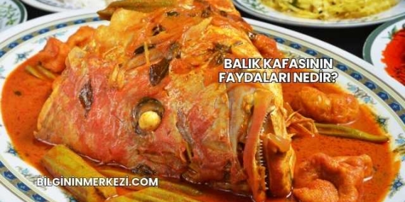 Balık Kafasının Faydaları Nedir?