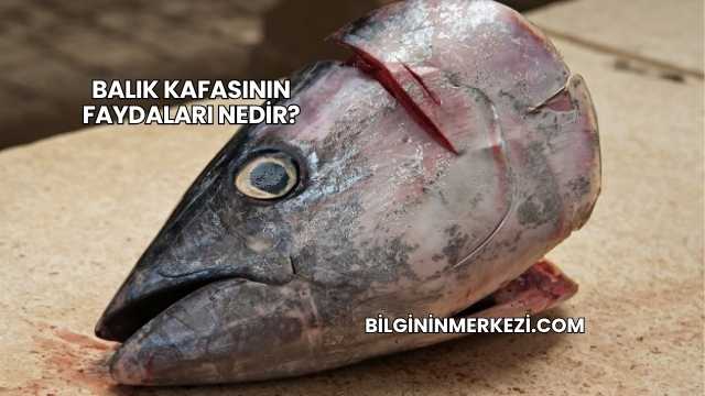 Balık Kafasının Faydaları Nedir?