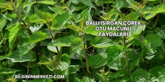 Ballı Isırgan Çörek Otu Macunu Faydaları