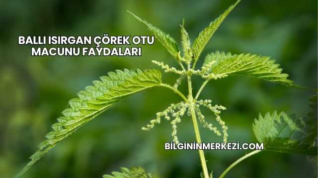 Ballı Isırgan Çörek Otu Macunu Faydaları