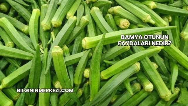 Bamya Otunun Faydaları Nedir?