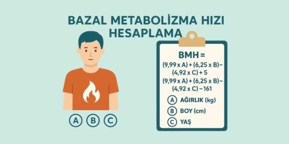 Bazal Metabolizma Hızı Hesaplama