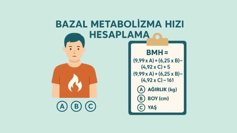 Bazal Metabolizma Hızı Hesaplama