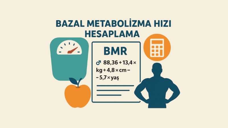 Bazal Metabolizma Hızı Hesaplama