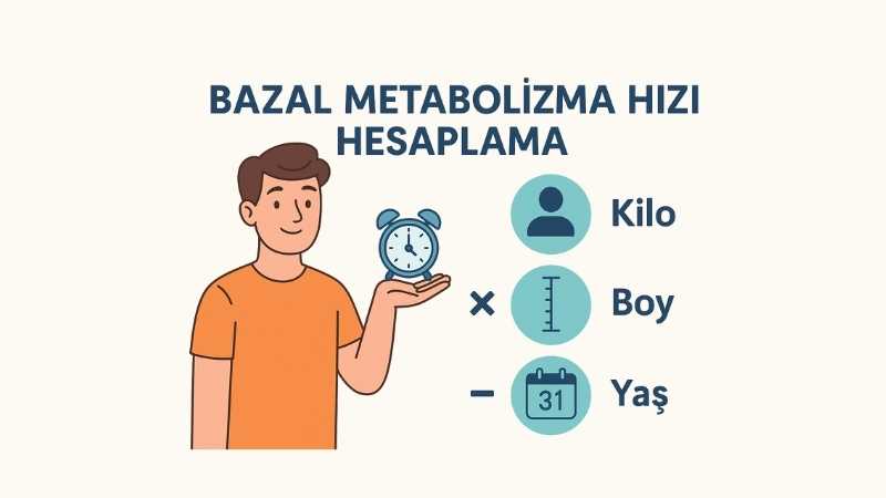 Bazal Metabolizma Hızı Hesaplama