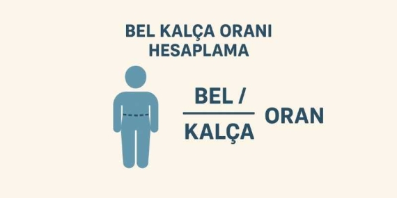 Bel Kalça Oranı Hesaplama