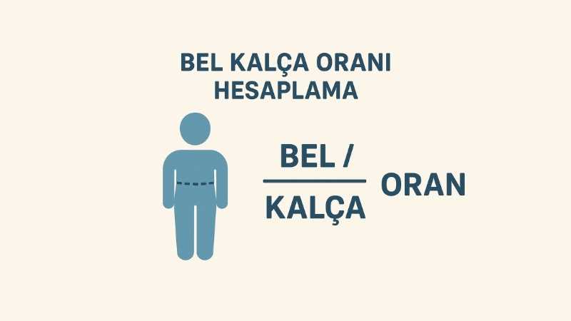 Bel Kalça Oranı Hesaplama
