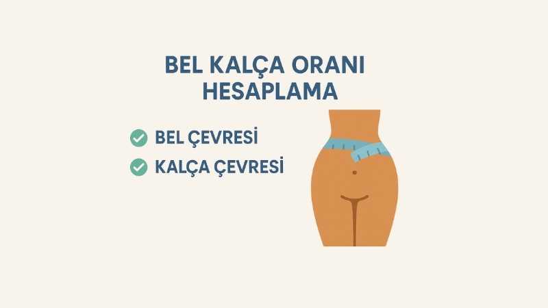 Bel Kalça Oranı Hesaplama