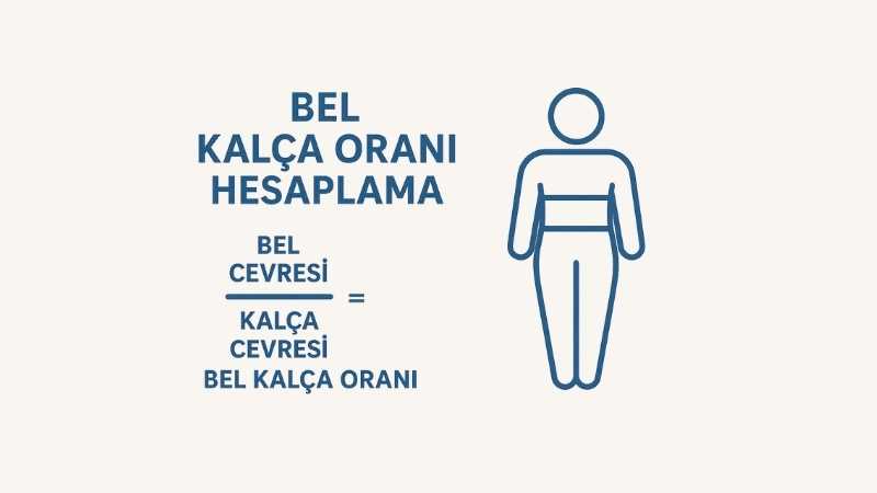 Bel Kalça Oranı Hesaplama