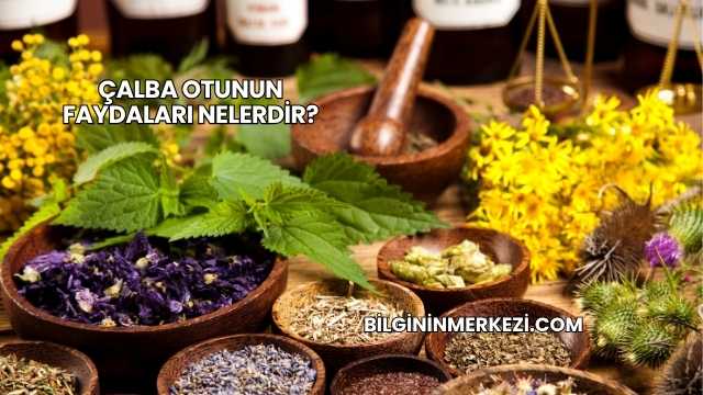 Çalba Otunun Faydaları Nelerdir?
