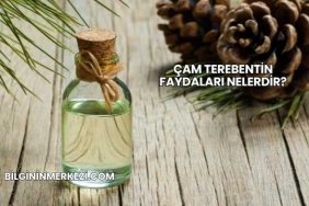 Çam Terebentin Faydaları Nelerdir?