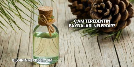 Çam Terebentin Faydaları Nelerdir?