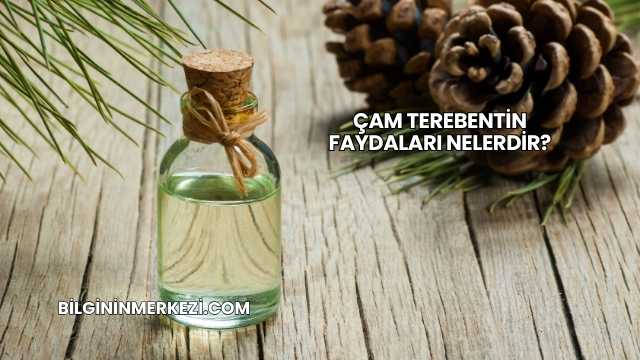 Çam Terebentin Faydaları Nelerdir?