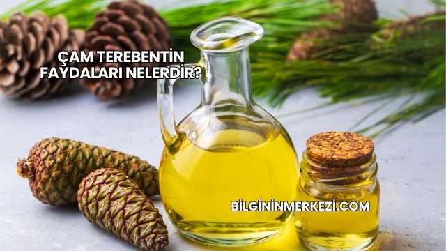 Çam Terebentin Faydaları Nelerdir?