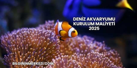 Deniz Akvaryumu Kurulum Maliyeti 2025